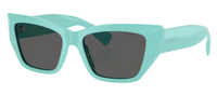 Tiffany & Co TF4230 Sunglasses