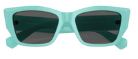 Tiffany & Co TF4230 Sunglasses