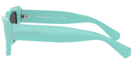 Tiffany & Co TF4230 Sunglasses