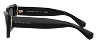 Tiffany & Co TF4230 Sunglasses