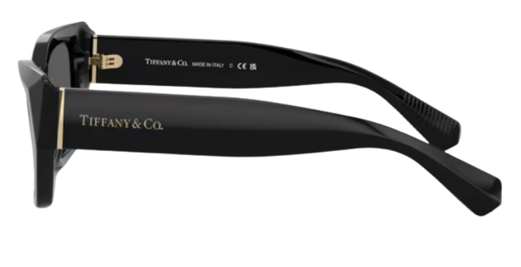 Tiffany & Co TF4230 Sunglasses