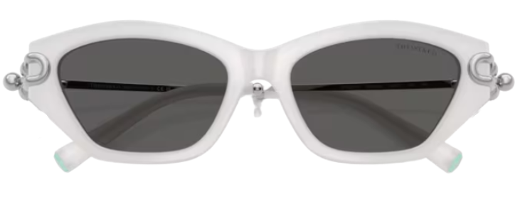 Gafas de sol Tiffany & Co TF4231U