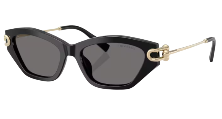 Gafas de sol Tiffany & Co TF4231U