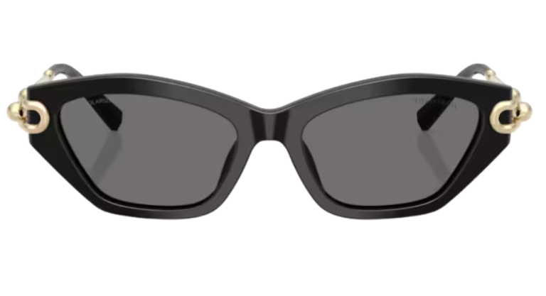 Gafas de sol Tiffany & Co TF4231U