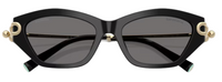Gafas de sol Tiffany & Co TF4231U