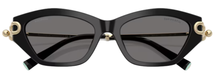 Gafas de sol Tiffany & Co TF4231U