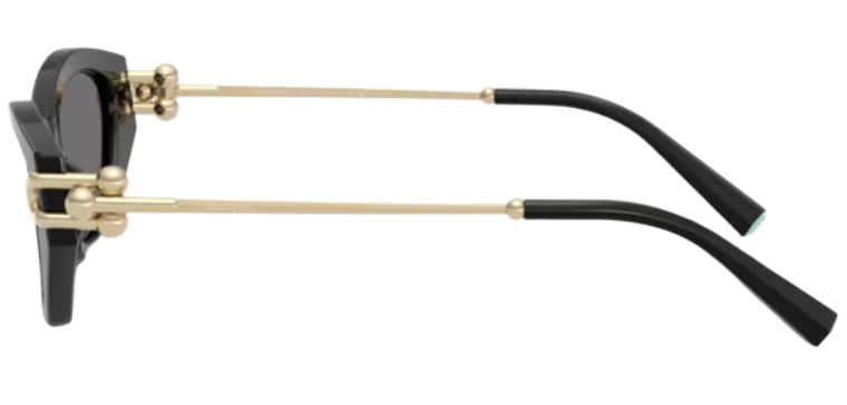 Gafas de sol Tiffany & Co TF4231U