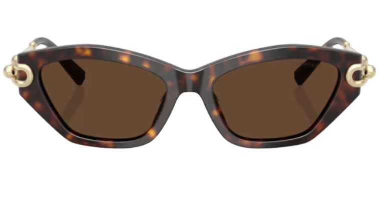 Gafas de sol Tiffany & Co TF4231U