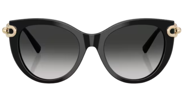 Tiffany & Co TF4232 Sunglasses
