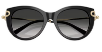 Tiffany & Co TF4232 Sunglasses