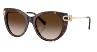 Tiffany & Co TF4232 Sunglasses