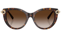 Tiffany & Co TF4232 Sunglasses