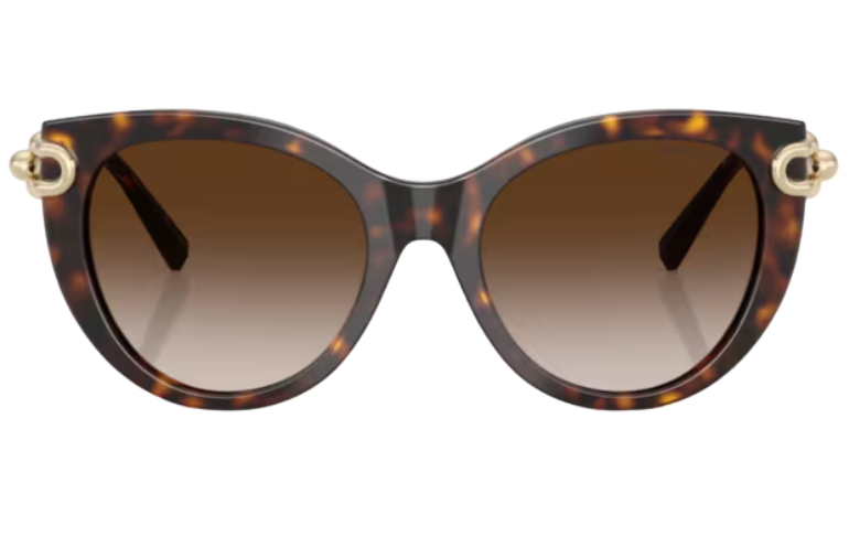 Tiffany & Co TF4232 Sunglasses