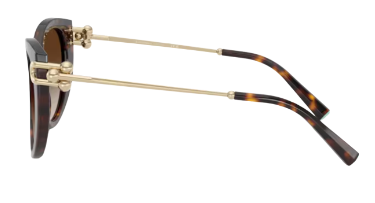 Tiffany & Co TF4232 Sunglasses