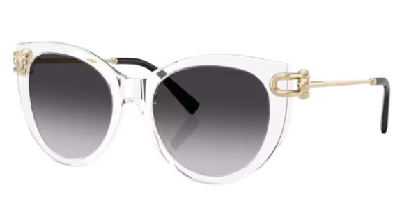 Óculos de sol Tiffany & Co TF4232