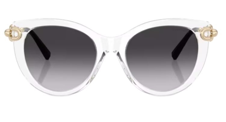 Tiffany & Co TF4232 Sunglasses