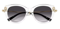 Tiffany & Co TF4232 Sunglasses
