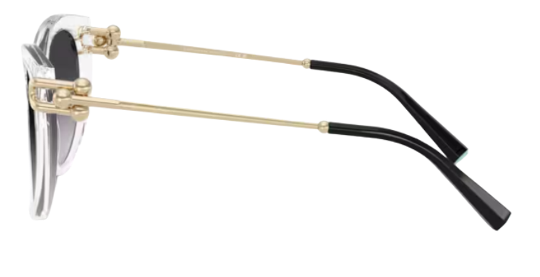 Tiffany & Co TF4232 Sunglasses