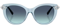 Tiffany & Co TF4232 Sunglasses