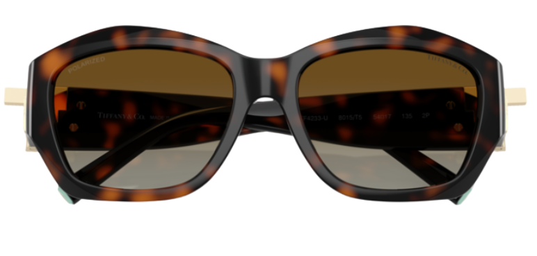 Tiffany & Co TF4233U Sunglasses
