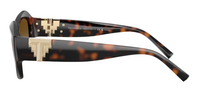 Tiffany & Co TF4233U Sunglasses