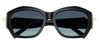 Tiffany & Co TF4233U Sunglasses