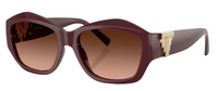 Tiffany & Co TF4233U Sunglasses