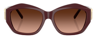 Tiffany & Co TF4233U Sunglasses