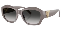 Tiffany & Co TF4233U Sunglasses
