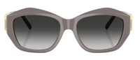 Tiffany & Co TF4233U Sunglasses
