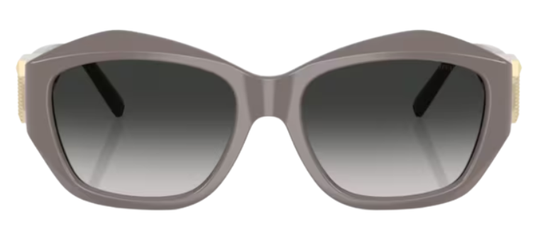 Tiffany & Co TF4233U Sunglasses