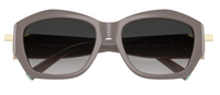 Tiffany & Co TF4233U Sunglasses