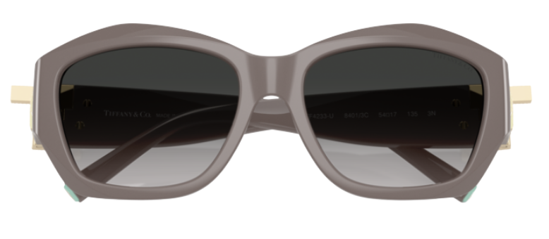 Tiffany & Co TF4233U Sunglasses