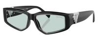 Tiffany & Co TF4234U Sunglasses