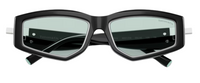 Tiffany & Co TF4234U Sunglasses