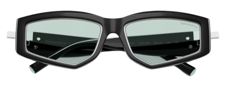Tiffany & Co TF4234U Sunglasses