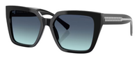 Tiffany & Co TF4235 Sunglasses