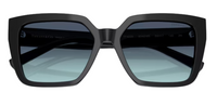 Tiffany & Co TF4235 Sunglasses