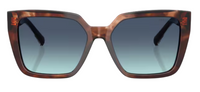 Tiffany & Co TF4235 Sunglasses
