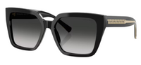 Tiffany & Co TF4235 Sunglasses
