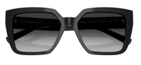 Tiffany & Co TF4235 Sunglasses