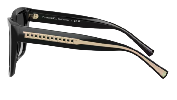 Tiffany & Co TF4235 Sunglasses
