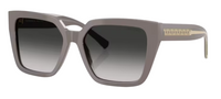 Tiffany & Co TF4235 Sunglasses