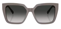 Tiffany & Co TF4235 Sunglasses