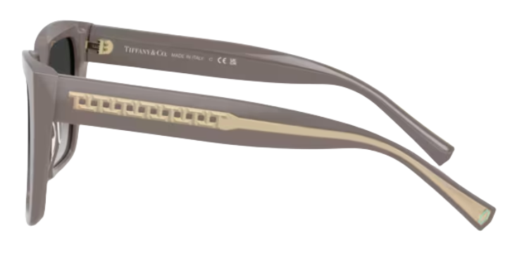Tiffany & Co TF4235 Sunglasses