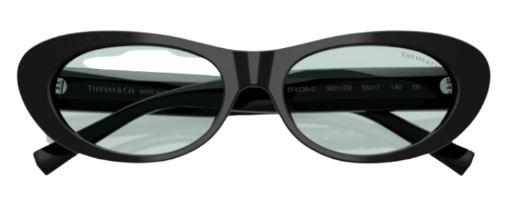 Tiffany & Co TF4236U Sunglasses