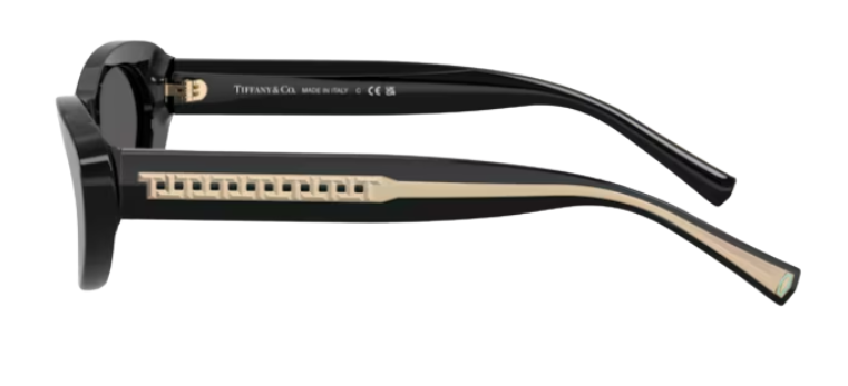 Tiffany & Co TF4236U Sunglasses