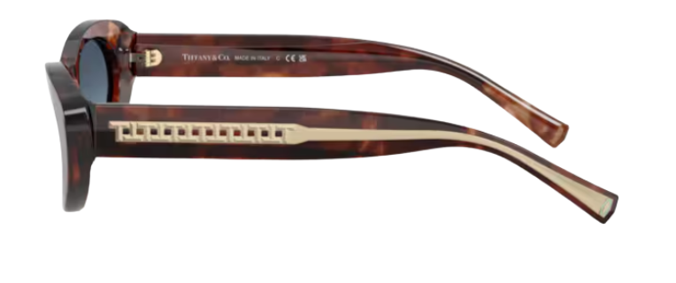 Tiffany & Co TF4236U Sunglasses