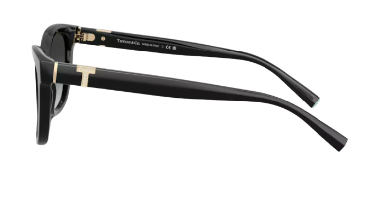 Gafas de sol Tiffany & Co TF4237B