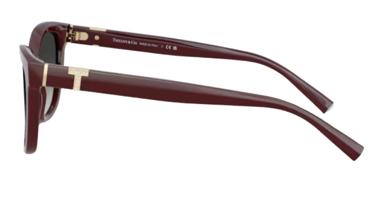 Gafas de sol Tiffany & Co TF4237B